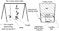 colander.gif (8890 bytes)