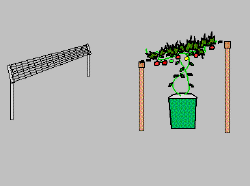 trellis drawing.gif (4477 bytes)